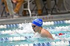 Swimming & Diving vs Babson  Swimming & Diving vs Babson College. - Photo by Keith Nordstrom : Wheaton, Swimming